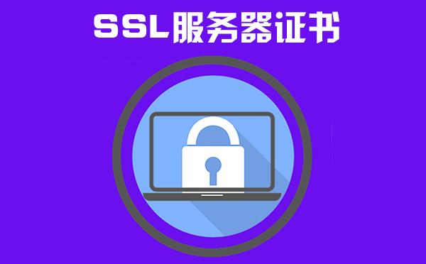 专业的证书服务器（server2016证书服务器）-图1