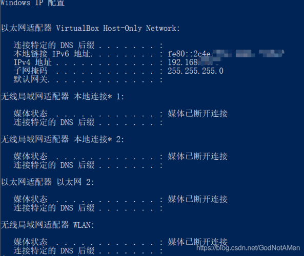 怎么代理虚拟主机（虚拟机怎么用代理ip）-图2