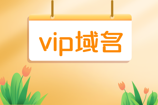 vip域名是什么意思（vip域名有价值吗）-图3