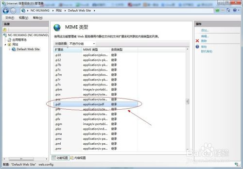 iis如何设置域名（iis设置mime）-图2
