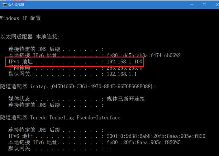 怎么查看vps是独立ip还是共享ip（怎么看vps的ip）-图1