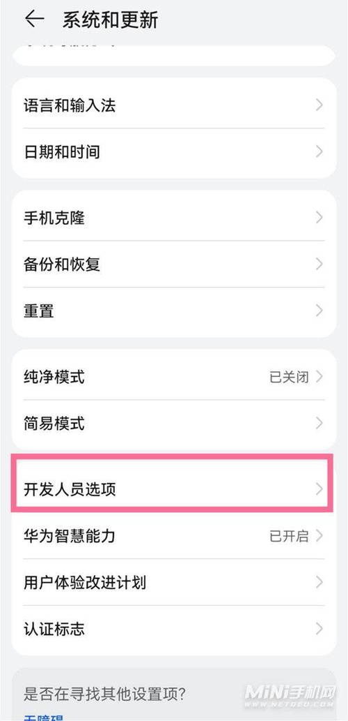 华为开发人员选项（华为开发人员选项关闭后如何开启）-图1