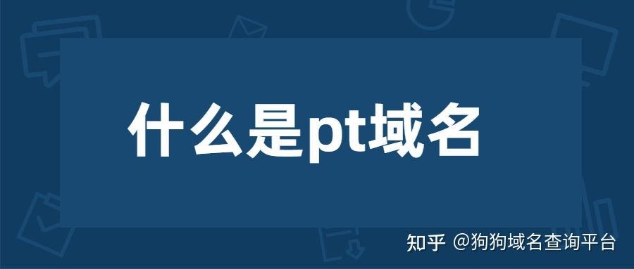 pt域名（pt域名注册）-图2