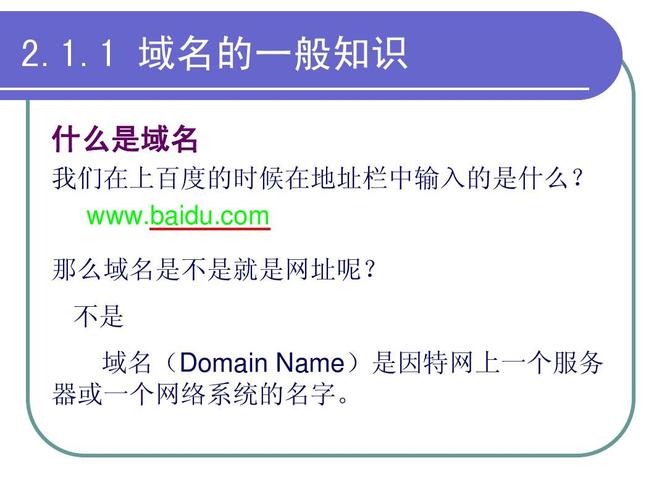 简述什么是域名（什么是域名?简述域名的组成）-图1