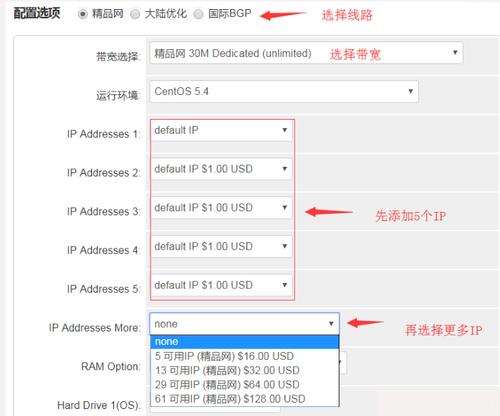 站群服务器租赁（站群服务器ip设置）-图2