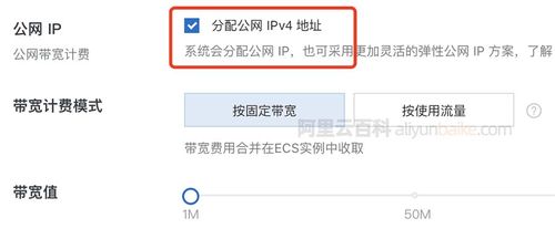 服务器名称公网ip（服务器公网ip是什么）-图2