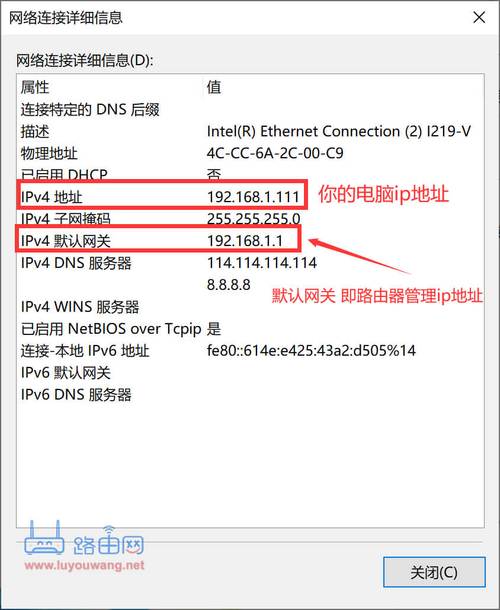 单ip服务器（服务器单ip是什么意思）-图3