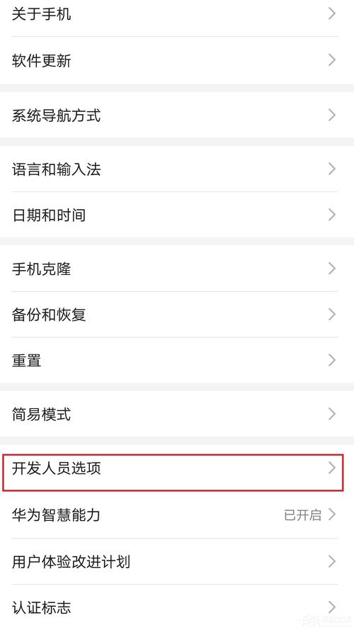 华为手机开发人员选项（华为手机开发人员选项怎么弄出来）-图1