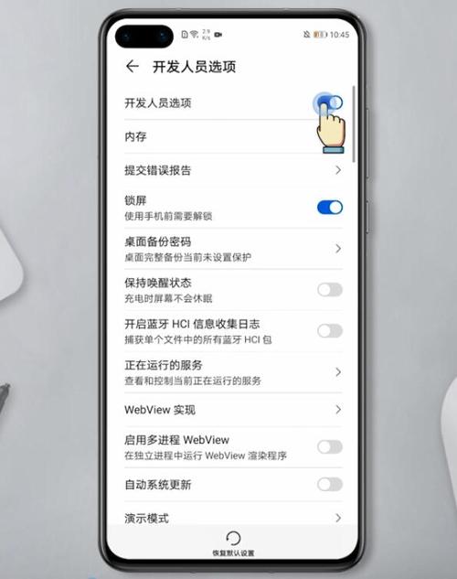 华为手机开发人员选项（华为手机开发人员选项怎么弄出来）-图2