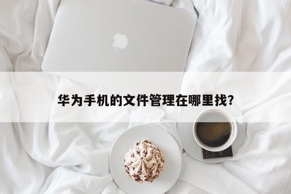 华为手机六（华为手机文件管理在哪找到）-图2