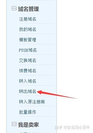 如何获取域名转移密码（域名如何转出）-图3