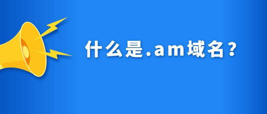 .am域名（am域名怎么转到国内）-图1