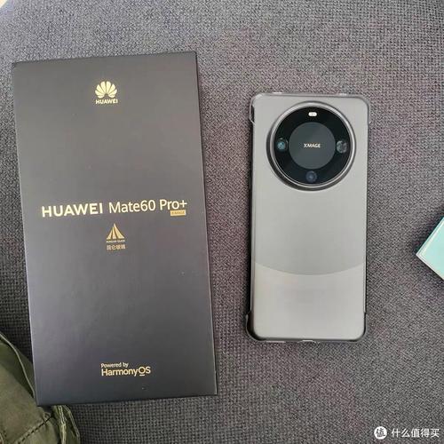 华为riotloo（华为mate60pro）-图2