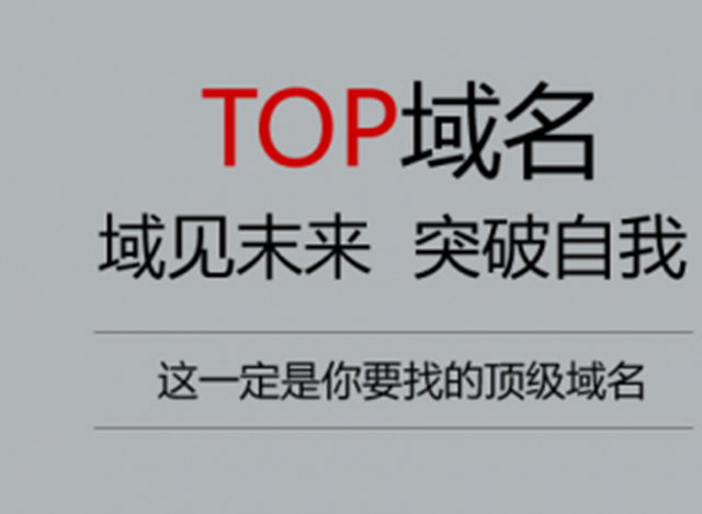 top域名怎么卖得快（top域名怎么样）-图2