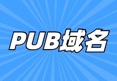 pub是什么域名（pub域名）-图1