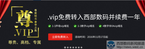 vip域名续费（域名 续费）-图2