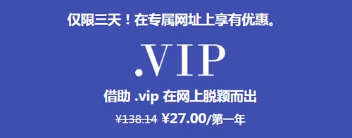 vip域名续费（域名 续费）-图3