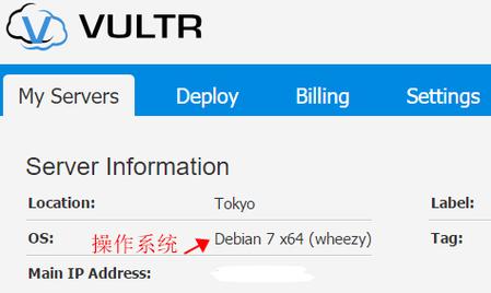 vultr怎么省（vultr稳定吗）-图1