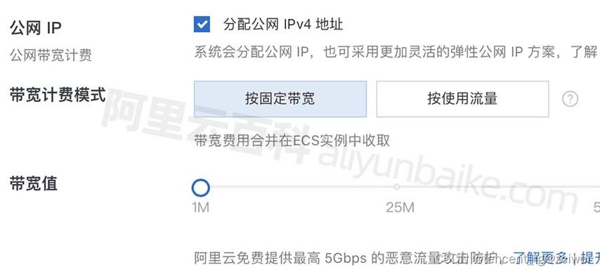 阿里云服务器公网（阿里云服务器公网带宽怎么选择）-图3