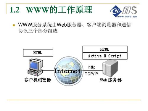 服务器www用户的简单介绍-图1