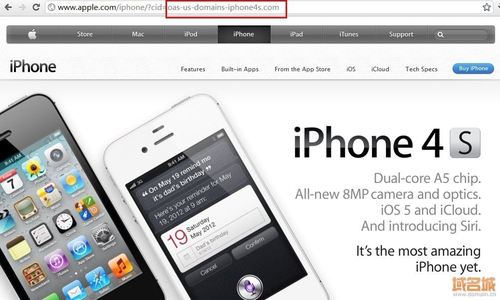 苹果手机域名怎么设置（苹果域名是什么意思）-图2