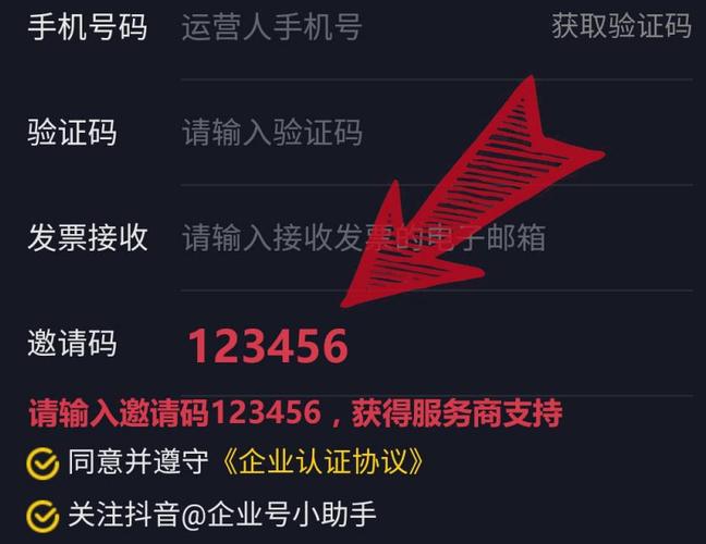 抖音认证邀请码该怎么填写（抖音认证邀请码从哪里获得）-图1