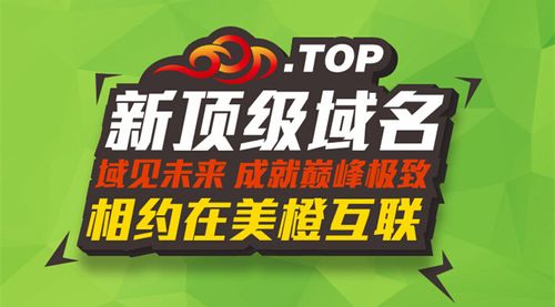 .top域名在哪用（top域名真的做不起来吗）-图3