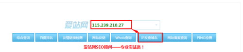 ip反查域名批量（ip批量反查域名工具）-图3