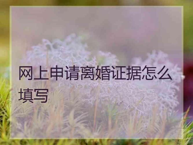 网站怎么申请（网站怎么申请离婚）-图3