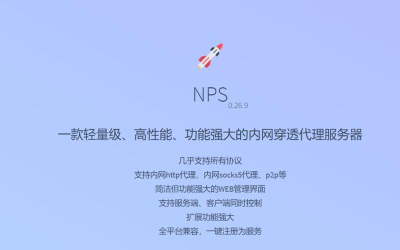 nydus服务器（服务器nps）-图3