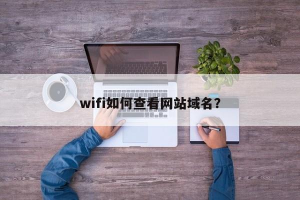 fi域名（如何查看wifi域名）-图1