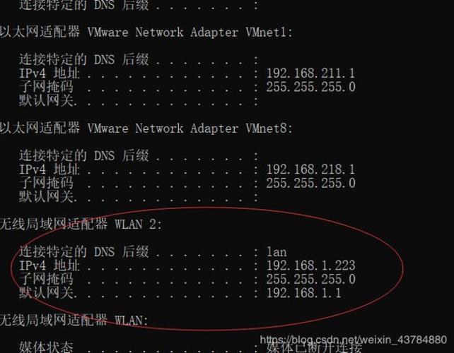 怎么查看虚拟主机被ddos的量（如何查询虚拟机ip）-图1