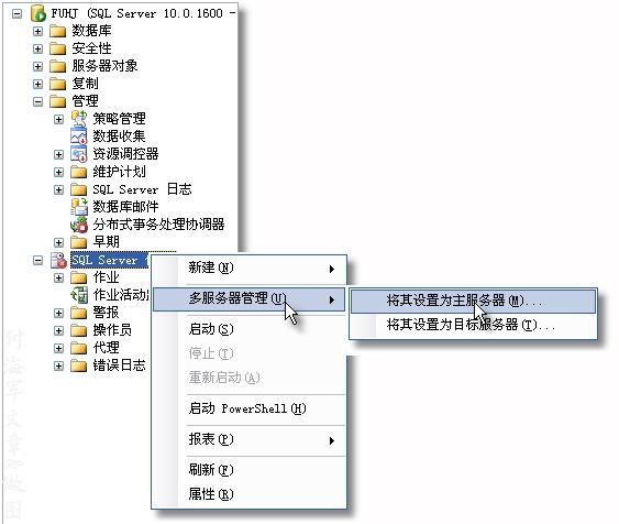 功能网站服务器（功能网站服务器怎么设置）-图2