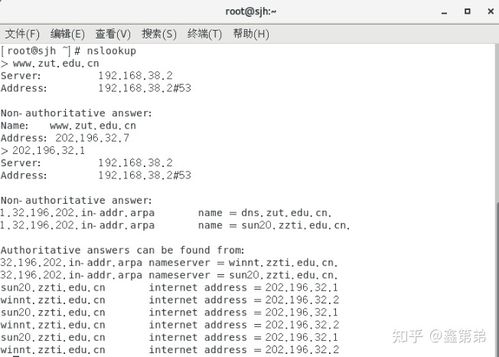 测试域名解析命令（检查域名解析）-图1