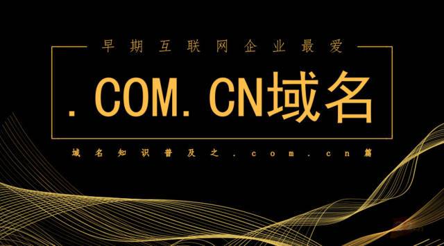 company域名（域名 com cn）-图1