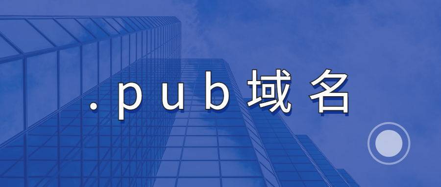 pub是域名吗（pub域名注册）-图1