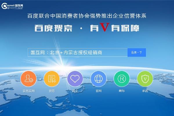 百度v认证域名（百度域名是什么意思）-图3