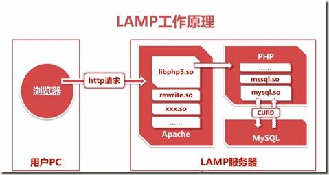 lanmp怎么建站（lamp搭建）-图2