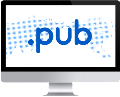 pub域名百科（pub网站全称）-图2