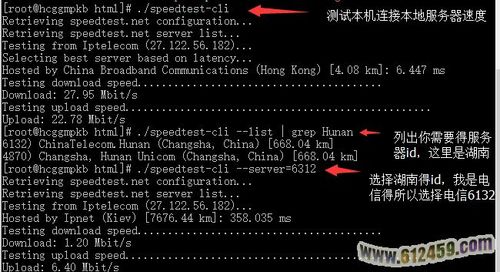 怎么测试vps带宽（vps网络测速代码）-图2