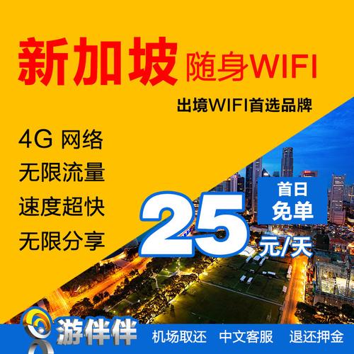 怎么连接新加坡服务器（在新加坡连wifi要坐牢?）-图3