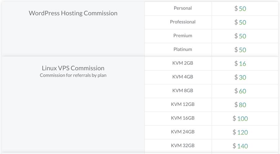 怎么利用vps赚钱（vps赚钱项目）-图1