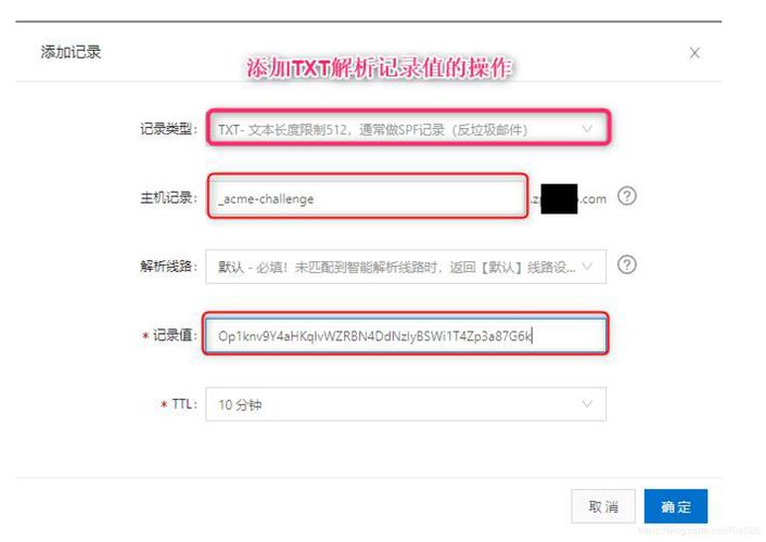 域名txt解析怎么（域名解析txt记录怎么配置）-图1
