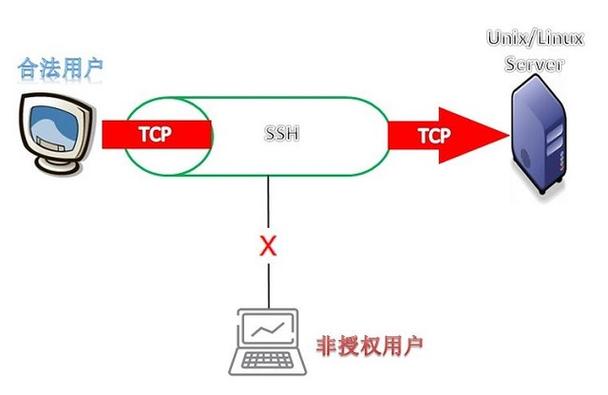 myfree云主机怎么连接（云主机怎么用手机连接）-图3