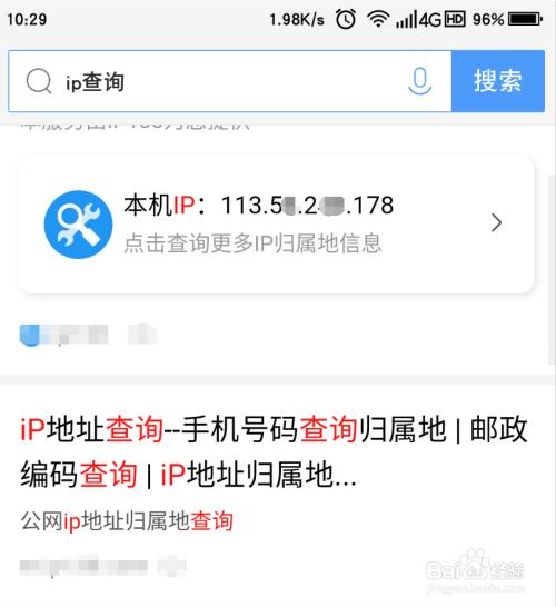 手机怎么查自己的域名（手机查看域名对应的ip）-图3