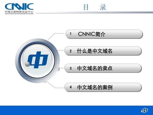 中文域名的销售技巧（中文域名的销售技巧和方法）-图1