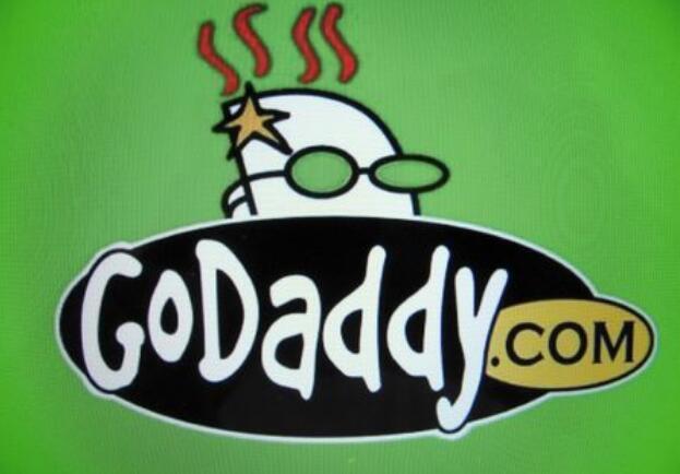 godaddy怎么了（godaddy llc）-图2