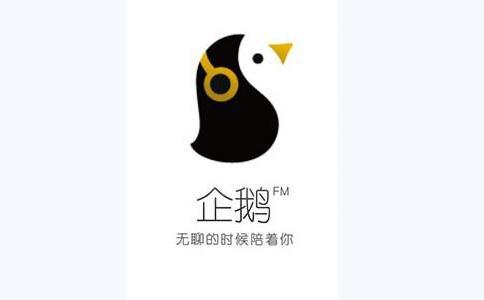 fm后缀域名（fm是哪个国家的域名）-图2