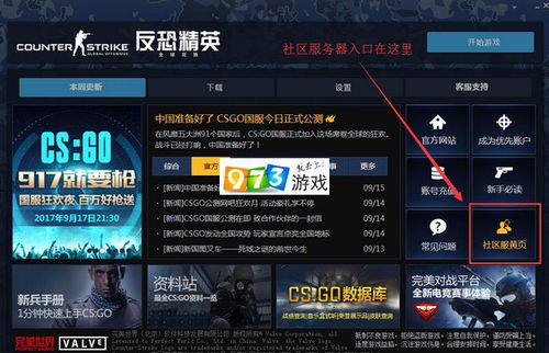 csgo怎么玩日本平台（csgo怎么进日本服务器）-图3