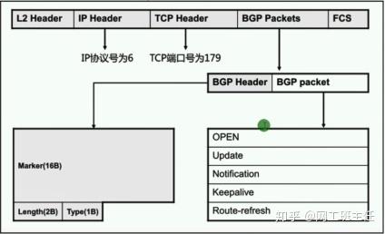 bgp怎么那么火（bgp是在）-图2